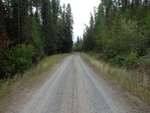 GDMBR, southbound, north of Cold Creek, MT.